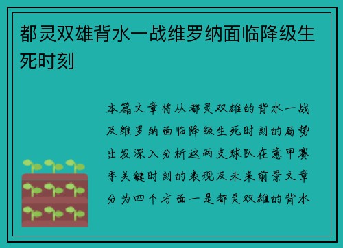 都灵双雄背水一战维罗纳面临降级生死时刻